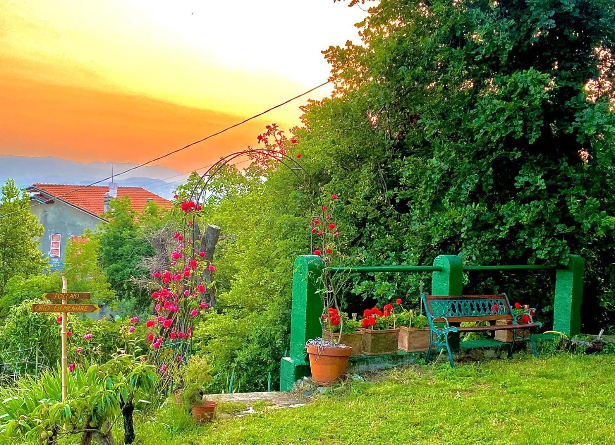 La Ginestra B&B Fosdinovo Exterior photo